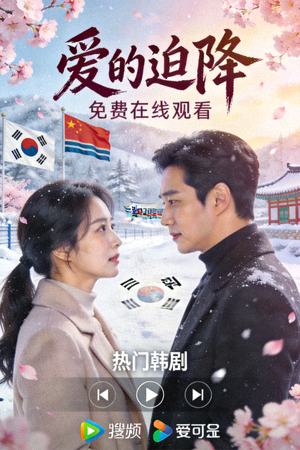 热门韩剧《爱的迫降》高清海报 - 免费在线观看